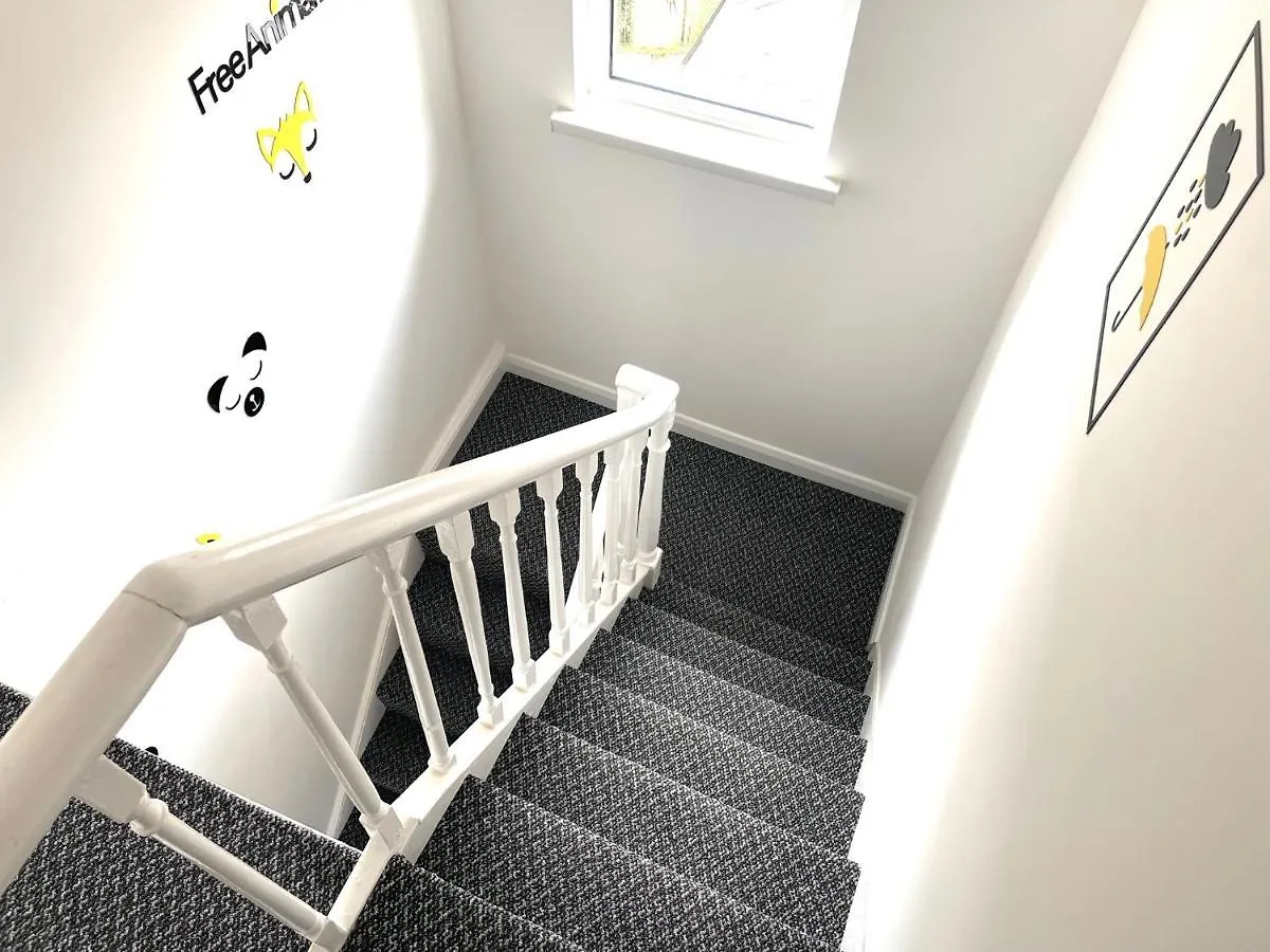 Entire Pinkapt - Free Parking - Up To 4 Guests - 3 Beds - Close To City Centre Belfast